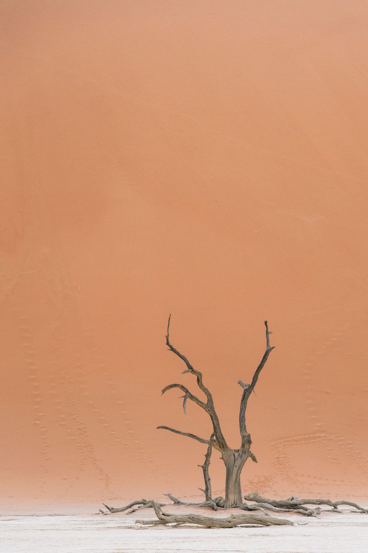 Deadvlei beneath the dune