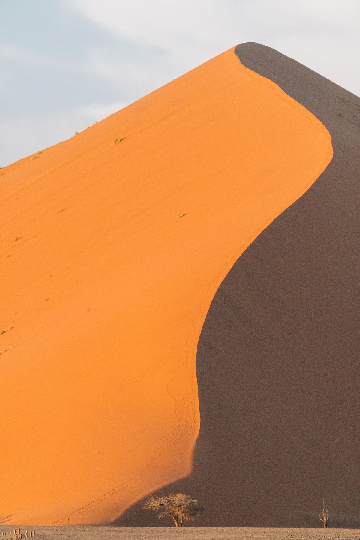 Dune ridgeline, Sossusvlei
